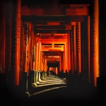KYOTO_FUSHIMIINARI_2014_4288_30,3x30,3_600x600
