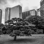 TOKYO_JAPON_2014_AUDREY GERBER